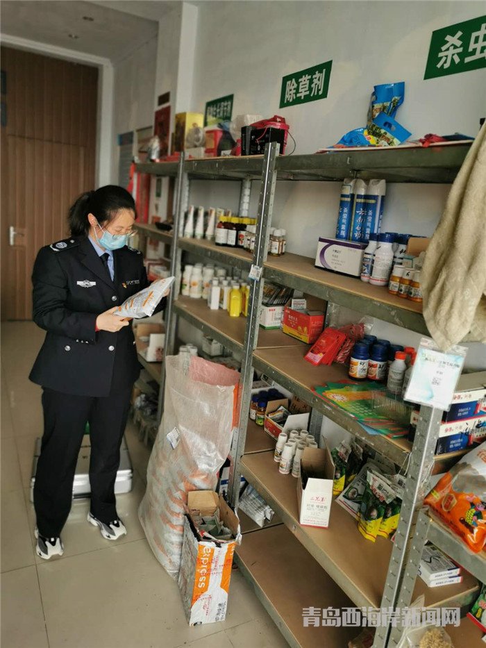圖為西海岸新區(qū)農(nóng)業(yè)綜合行政執(zhí)法大隊(duì)執(zhí)法隊(duì)員在查看玉米種子包裝。.jpg
