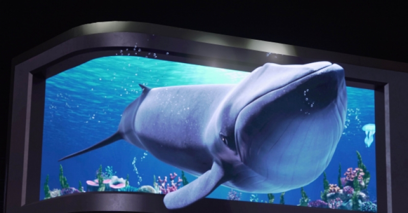 在金沙灘啤酒城，那些讓你眼前一亮的驚喜